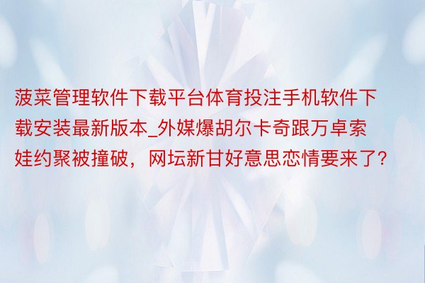 菠菜管理软件下载平台体育投注手机软件下载安装最新版本_外媒爆胡尔卡奇跟万卓索娃约聚被撞破，网坛新甘好意思恋情要来了？